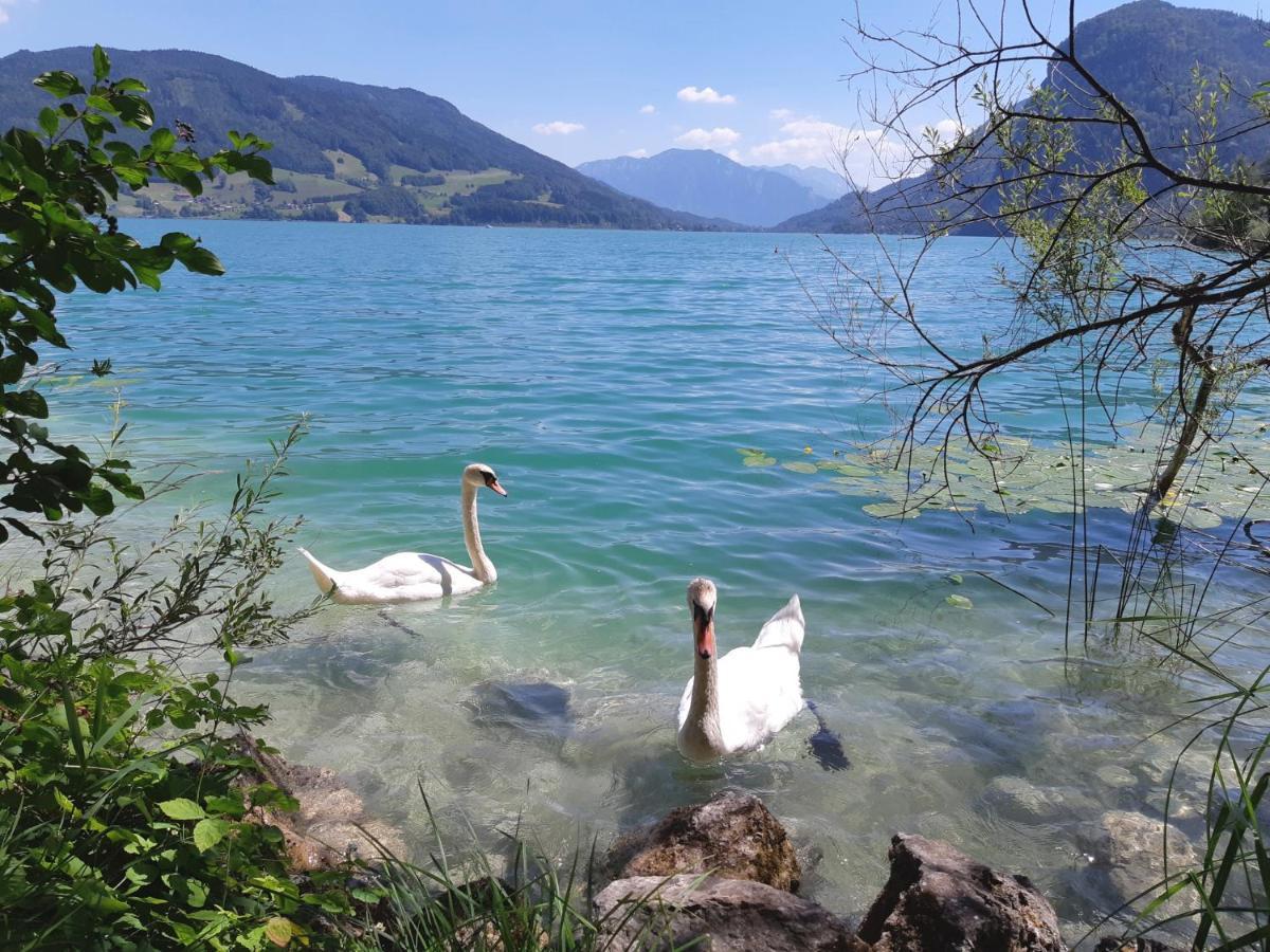 Apartment Am Wolfgangsee Strobl Εξωτερικό φωτογραφία