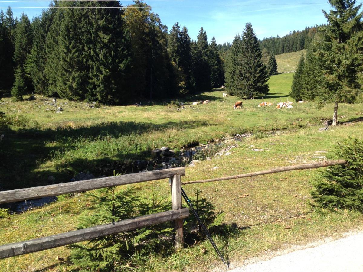 Apartment Am Wolfgangsee Strobl Εξωτερικό φωτογραφία